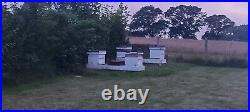 National Beehive, complete with Italian Buckfast Honey Bees x4