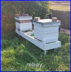 National Beehive x2, complete with Italian Buckfast Honey Bees x2