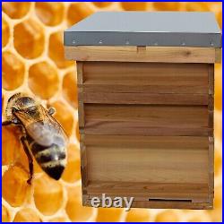 National Cedar Bee Hive Starter hive with frames and wax 21612