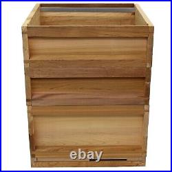 National Cedar Bee Hive Starter hive with frames and wax 21612