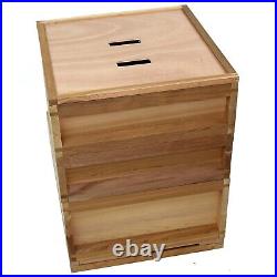 National Cedar Bee Hive Starter hive with frames and wax 21612