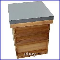 National Cedar Bee Hive Starter hive with frames and wax 21612