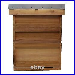 National Cedar Bee Hive Starter hive with frames and wax 21612