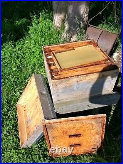 National bee hive used