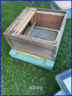 National poly bee hive used