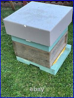 National poly bee hive used