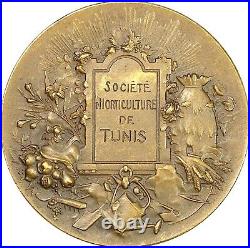 O917, France, Art Nouveau Bronze Medal, Apiculture, Bee Hive, Horticulture