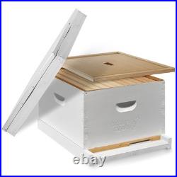 OPEN BOX Beginner Bee Hive Body Kit, Painted, Assembled with 10 Frames White