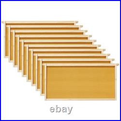 OPEN BOX Beginner Bee Hive Body Kit, Painted, Assembled with 10 Frames White