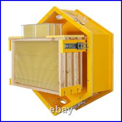 Observation Beehive Starter Kit with 3 Frames & 6 Honeycomb Trays, Wall-Mounted