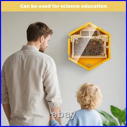 Observation Beehive Starter Kit with 3 Frames & 6 Honeycomb Trays, Wall-Mounted