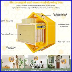 Observation Beehive Starter Kit with 3 Frames & 6 Honeycomb Trays, Wall-Mounted