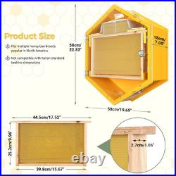Observation Beehive Starter Kit with 3 Frames & 6 Honeycomb Trays, Wall-Mounted