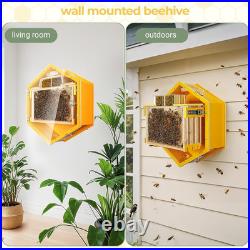 Observation Beehive Starter Kit with 3 Frames & 6 Honeycomb Trays, Wall-Mounted
