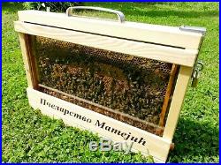 Observation Hive / Bee hive / Apiary