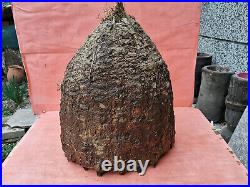 Old Antique Primitive Skep Swarm Hive Beeskep Beehive Cover Propolis Bee Cells