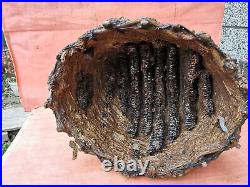 Old Antique Primitive Skep Swarm Hive Beeskep Beehive Cover Propolis Bee Cells