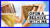 Open_A_Beehive_With_Me_Beekeeping_101_Easy_Beekeeping_01_ikxg