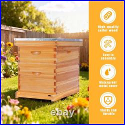 POLLIBEE 8 Frame Beehive Beeswax Coated Langstroth Bee Hives Include 1 Deep Boxe