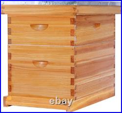 POLLIBEE 8 Frame Beehive Beeswax Coated Langstroth Bee Hives Include 1 Deep Boxe