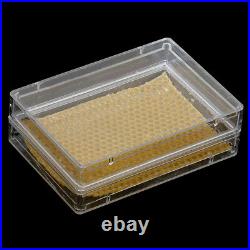 Plastic Beekeeping Comb Beehive Box Frame Set Kit Beekeeper Equipment HG