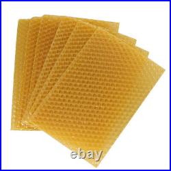 Plastic Beekeeping Comb Beehive Box Frame Set Kit Beekeeper Equipment HG