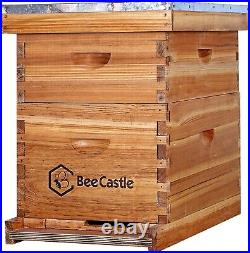 Premium 10-Frame Beehive Kit with Comprehensive Tools Modern Beekeeping