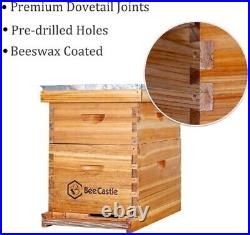 Premium 10-Frame Beehive Kit with Comprehensive Tools Modern Beekeeping