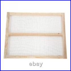 Premium Beehive Box New Zealand Pine Construction Self-Flowing Honey System
