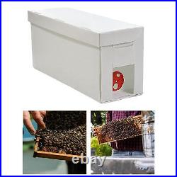 Queen Bee Rearing System Plastic Beehive Stand Breeding Set DIY Beekeeping