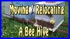 Relocating_A_Bee_Hive_3_Feet_Or_3_Miles_Rule_01_apw