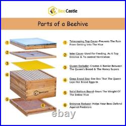 Starter Hive Kit 10 Frame Beehive Dipped in 100% Beeswax Bee BeeCastle