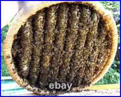 Straw Bee Skep, Traditional bee skep