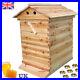 Super_Beekeeping_Brood_House_Cedarwood_Beehive_Box_for_7_Auto_Bee_Hive_Frames_01_tcxp