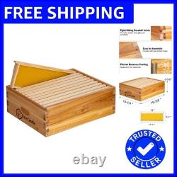 Sustainable 10-Frame Medium Super Beehive with Beeswaxed Foundation Included