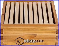 Sustainable 10-Frame Medium Super Beehive with Beeswaxed Foundation Included