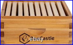 Sustainable 10-Frame Medium Super Beehive with Beeswaxed Foundation Included