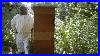 Tallest_U0026_Strongest_Bee_Hives_Or_Colonies_In_The_World_Using_The_Rose_Hive_Method_Part_2_01_uceu