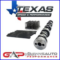 Texas Speed (TSP) 228/232.600/. 600 Cam Kit with Beehive Springs LS1/LS2/LS6