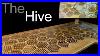 The_Hive_Building_A_Beehive_Simulation_Desk_01_eaz
