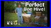 The_Perfect_Bee_Hive_April_2020_01_kify