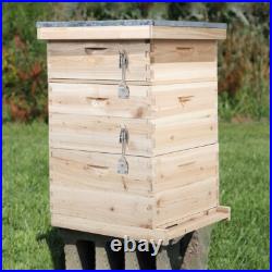 UK 3 Tier Wooden Bee Hive House Brood Super Box Beekeeper Beekeeping Beehive Box