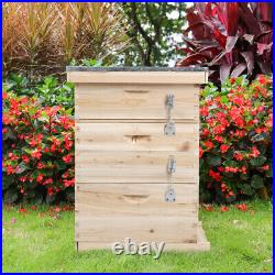 UK 3 Tiers Langstroth Beehive Box Wooden Hive Frames Beekeeping Honey Brood Box