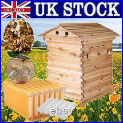 UK 7 Pcs Flowing Honey Hive Beehive Frames + Beekeeping Brood Cedarwood Box Set