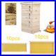 UK_Beekeeper_Beekeeping_Honey_Bee_House_With_20Pc_Hive_Frames_Beehive_Brood_Box_UK_01_tesk