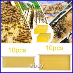 UK Beekeeper Beekeeping Honey Bee House With 20Pc Hive Frames Beehive Brood Box UK