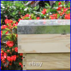 UK National Bee Hive Supply Brood Box Beekeeper Beekeeping Wooden Beehive Kit UK National Bee Hive Supply Brood Box Beekeeper Beekeeping Wooden Beehive Kit