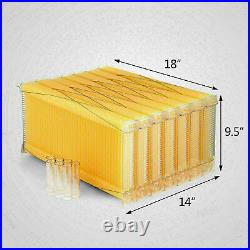 UK Stock Upgraded 7Pcs/Set Automatic Honey Wax Beehive Frames for Beehive Box