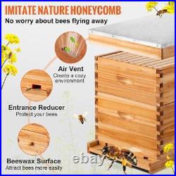 Upgraded Auto Flowing Honey Frame +Wooden Bee Hive House Comb Beehive Box Kit UK