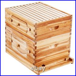 VEVOR Bee Hive Langstroth Kit 10 Deep & 10 Medium Frames with Acrylic Windows VEVOR Bee Hive Langstroth Kit 10 Deep & 10 Medium Frames with Acrylic Windows